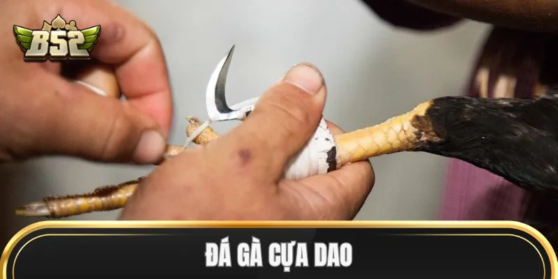 Các siêu phẩm của Đá Gà Cựa Dao 