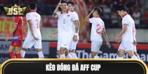 Kèo Bóng Đá AFF Cup