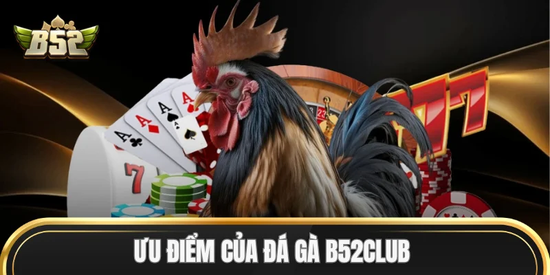 Ưu điểm của Đá Gà B52Club